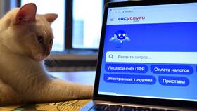 Что делать в случае взлома аккаунта в Милабель