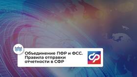 ЭДО СФР: что это и как работает в Милабель