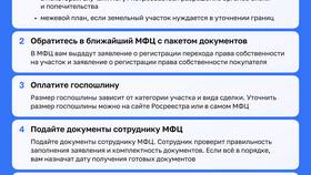 Как через МФЦ получить право собственности в Милабель