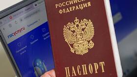 Как иностранному гражданину получить доступ к Госуслугам в Милабель