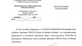 Как найти исполнительное производство в отношении юридического лица в Милабель