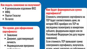 Как оформить проездной билет через портал Госуслуги в Милабель