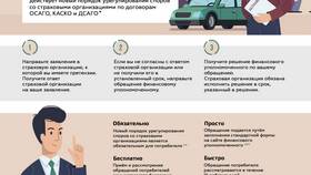 Как оформить страховой случай в Милабель