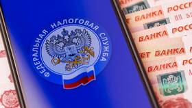 Как оплатить налог через квитанцию в Милабель