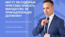 Как происходит арест и изъятие имущества судебными приставами в Милабель