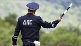 Как проверить наличие штрафов ГИБДД в Милабель