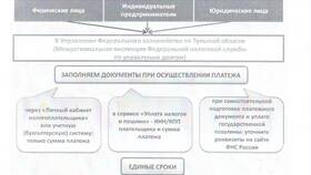 Как узнать принадлежность к Фонду социального страхования по ИНН в Милабель
