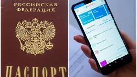 Как восстановить паспорт при утере через Госуслуги в Милабель