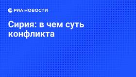 Почему отправляют в Сирию: причины и факторы в Милабель