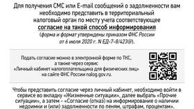 СЗПК в налоговой декларации: что это означает в Милабель