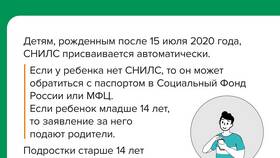 Зачем нужен СНИЛС для Госуслуг в Милабель